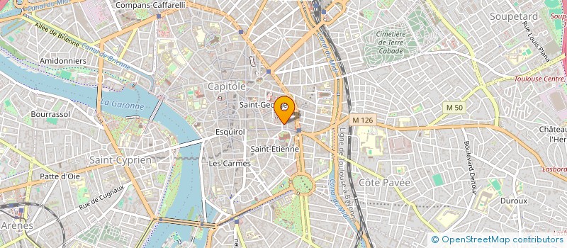 localisation de l'entreprise MADAME MAYARA RODRIGUES  TOULOUSE