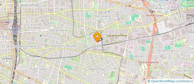 localisation de l'entreprise MADAME MEGAN ROSE MARIE FERREIRA  VILLEURBANNE