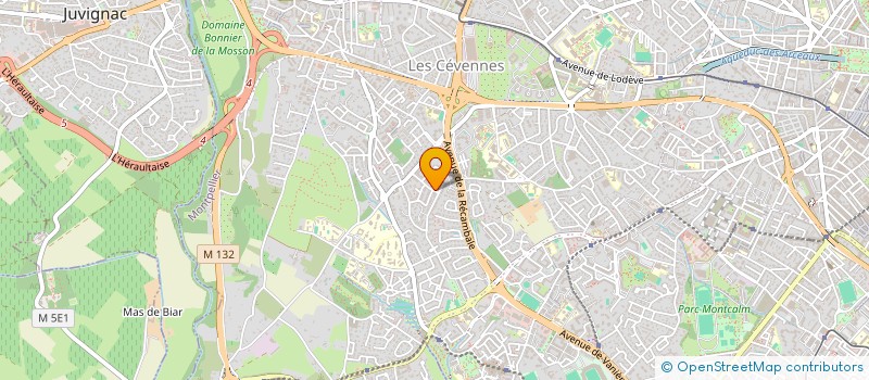 localisation de l'entreprise MADAME MEGANE BOUCHAUX à MONTPELLIER
