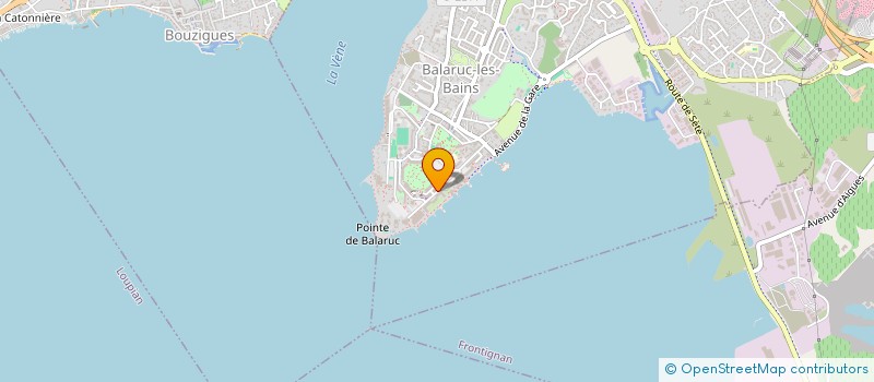 localisation de l'entreprise MADAME MEGANE BRUN  BALARUC-LES-BAINS