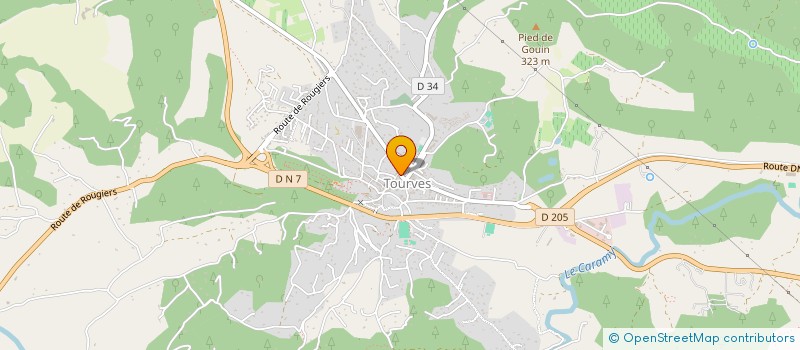 localisation de l'entreprise MADAME MEGANE BRUVRIS  TOURVES