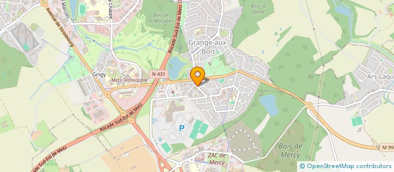 localisation de l'entreprise MADAME MEGANE DASSENOY  METZ