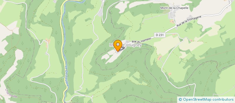 localisation de l'entreprise MADAME MEGANE DESBROSSE  MONT-DE-VOUGNEY
