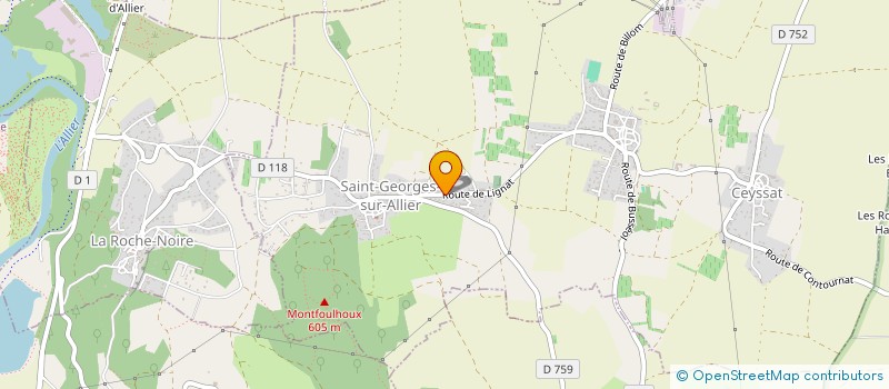 localisation de l'entreprise MADAME MEGANE DOSSONNET  SAINT-GEORGES-SUR-ALLIER