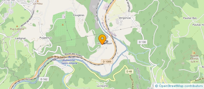 localisation de l'entreprise MADAME MEGANE FORESTIER  SAINT-HILAIRE-PEYROUX