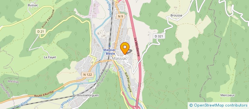 localisation de l'entreprise MADAME MEGANE SCHWARTZ à MASSIAC