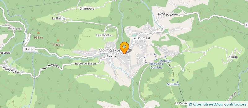 localisation de l'entreprise MADAME MEGANE TEDESCO  MONT-SAXONNEX