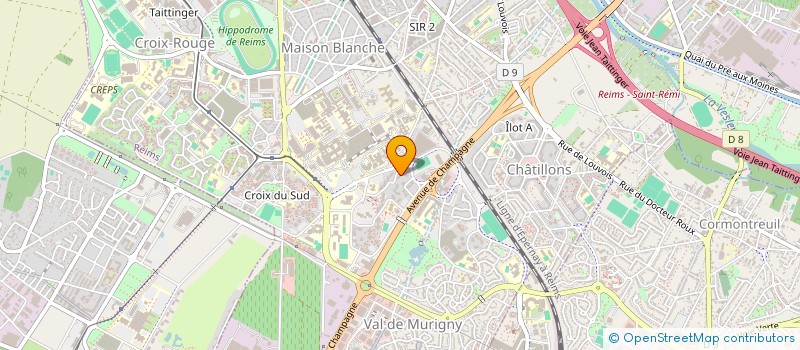 localisation de l'entreprise MADAME MEGANNE DRUBIGNY-NGUYEN  REIMS