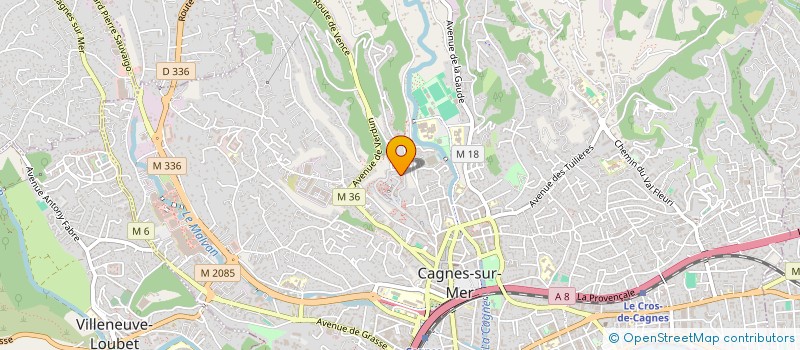 localisation de l'entreprise MADAME MEGANNE NATALI à CAGNES-SUR-MER