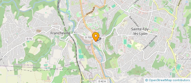 localisation de l'entreprise MADAME MEGGANE VIGNAT  SAINTE-FOY-LES-LYON
