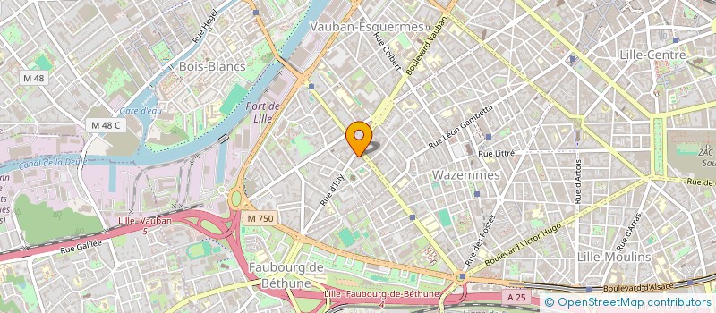 localisation de l'entreprise MADAME MEIMOUNA ELAIHAR  LILLE