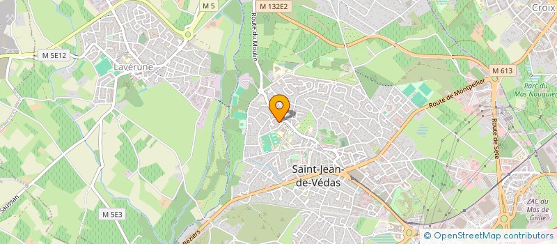 localisation de l'entreprise MADAME MELANIE BERTHIER à SAINT-JEAN-DE-VEDAS