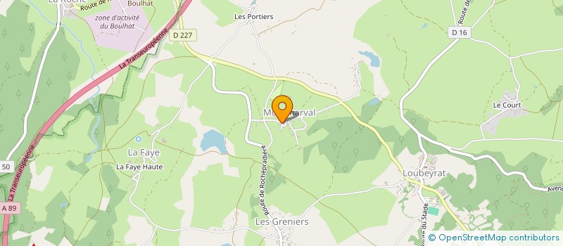 localisation de l'entreprise MADAME MELANIE BOY  RIOM