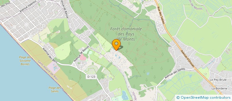 localisation de l'entreprise MADAME MELANIE CHOPIN  SAINT-JEAN-DE-MONTS