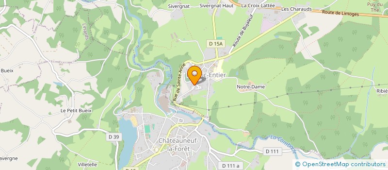 localisation de l'entreprise MADAME MELANIE FAUCHER  NEUVIC-ENTIER