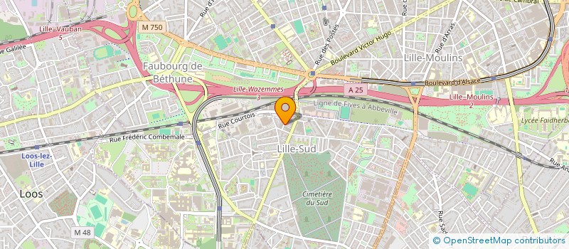 localisation de l'entreprise MADAME MELANIE FICHAUX à LILLE