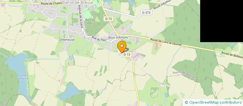 localisation de l'entreprise MADAME MELANIE HEITZMANN  PIERRE-DE-BRESSE