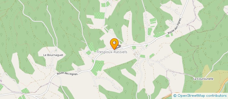 localisation de l'entreprise MADAME MELANIE LEPERS  TRESPOUX-RASSIELS