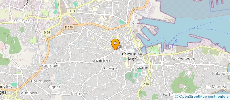 localisation de l'entreprise MADAME MELANIE MICHEL  LA SEYNE-SUR-MER