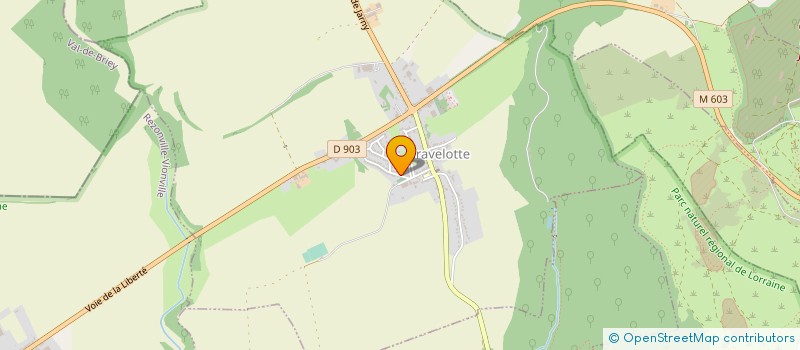 localisation de l'entreprise MADAME MELANIE NICON  GRAVELOTTE