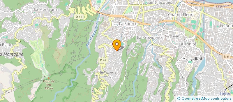 localisation de l'entreprise MADAME MELANIE PELLAN  SAINT-DENIS