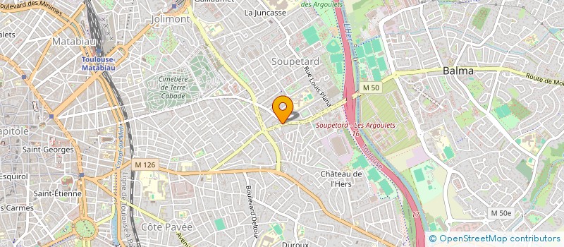 localisation de l'entreprise MADAME MELANIE PICCOLI  TOULOUSE