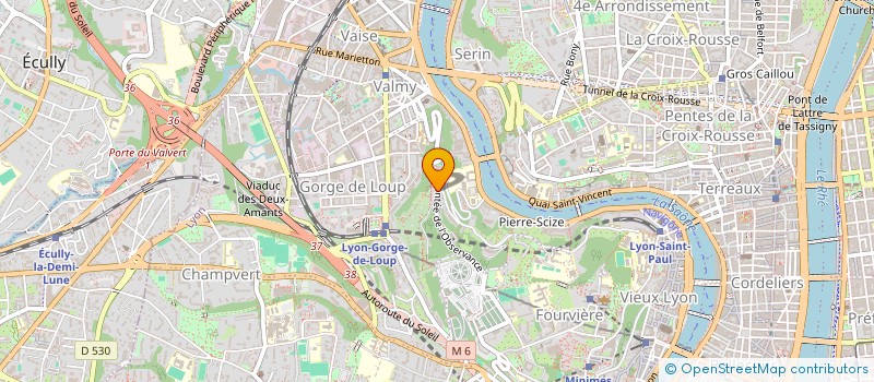 localisation de l'entreprise MADAME MELANIE SALVADOR  LYON