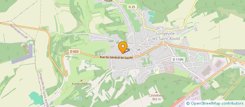 localisation de l'entreprise MADAME MELANIE SCHNEIDER  LONGEVILLE-LES-SAINT-AVOLD