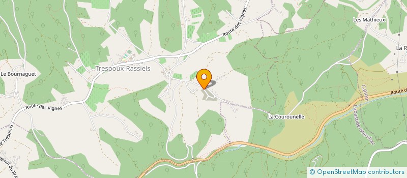 localisation de l'entreprise MADAME MELANIE VIGUIER  TRESPOUX-RASSIELS