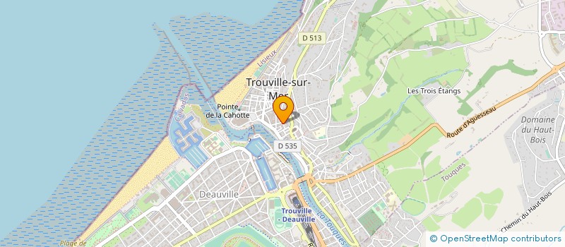 localisation de l'entreprise MADAME MELANY DIORE à TROUVILLE-SUR-MER