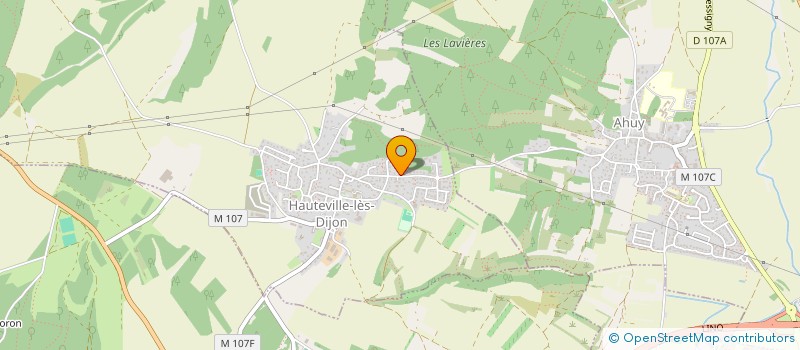 localisation de l'entreprise MADAME MELINA BERTHIER  HAUTEVILLE-LES-DIJON