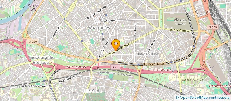 localisation de l'entreprise MADAME MELINA NESPOUX à LILLE