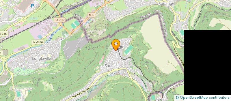 localisation de l'entreprise MADAME MELINA TORRAILLE  SAULNES