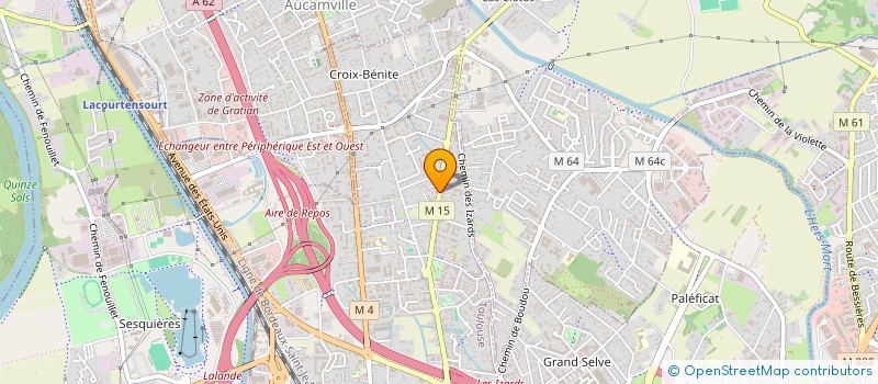 localisation de l'entreprise MADAME MELINA VIVOIX à TOULOUSE