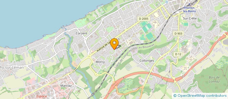 localisation de l'entreprise MADAME MELINE BIDOIS à THONON-LES-BAINS