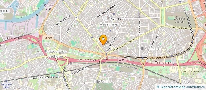 localisation de l'entreprise MADAME MELISA ELKAYA  LILLE