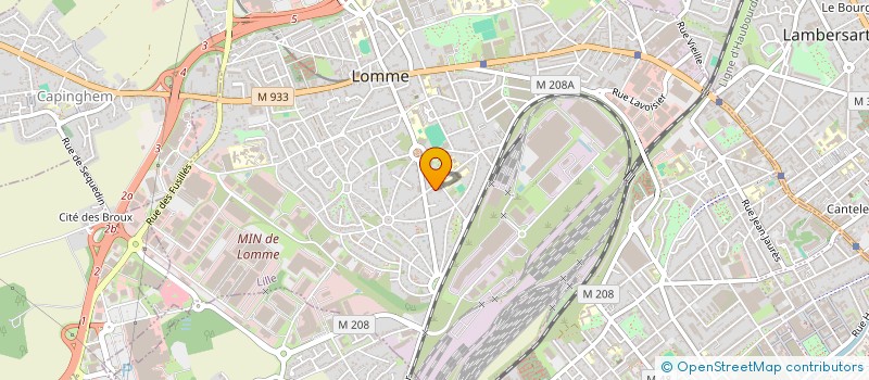 localisation de l'entreprise MADAME MELISA LEBLEU à LILLE