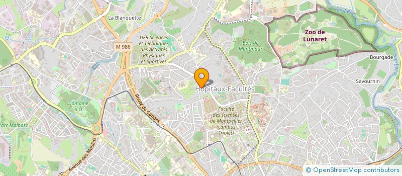 localisation de l'entreprise MADAME MELISSA FERRAS à MONTPELLIER