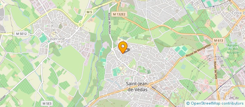 localisation de l'entreprise MADAME MELISSA PACE  SAINT-JEAN-DE-VEDAS