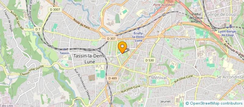 localisation de l'entreprise MADAME MELISSA PUECH  TASSIN-LA-DEMI-LUNE