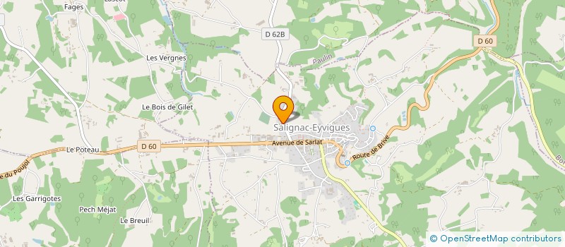 localisation de l'entreprise MADAME MELISSA RODRIGUES  SALIGNAC-EYVIGUES