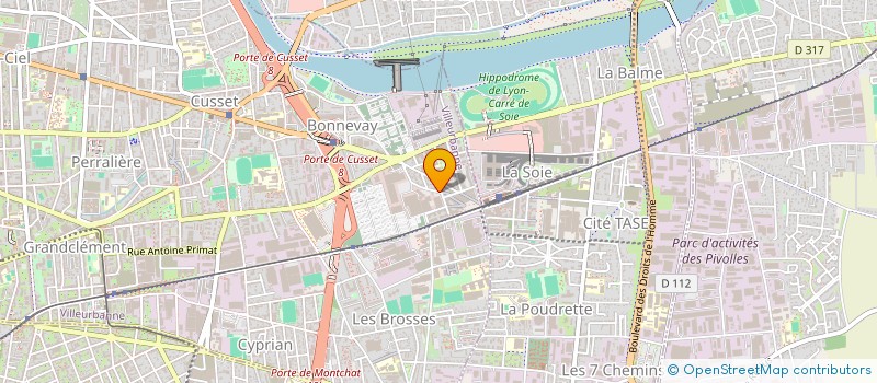 localisation de l'entreprise MADAME MELLISSA MIRGUET  VILLEURBANNE