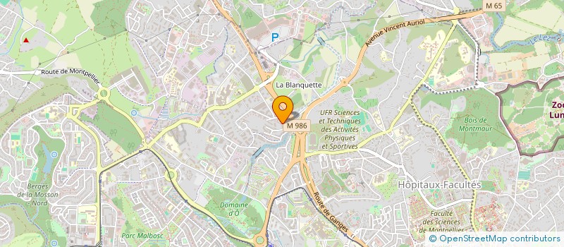 localisation de l'entreprise MADAME MELODIE BICHO à MONTPELLIER