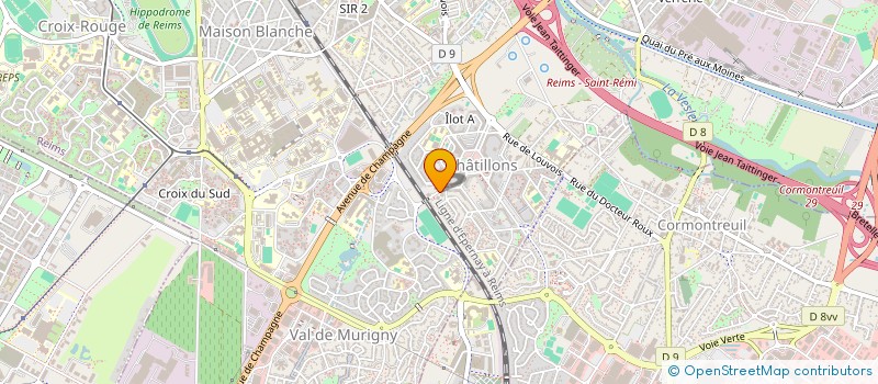 localisation de l'entreprise MADAME MELODY DOGNEAU  REIMS