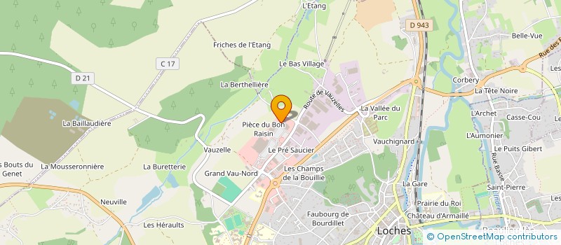 localisation de l'entreprise MADAME MELODY KHODJA  LOCHES