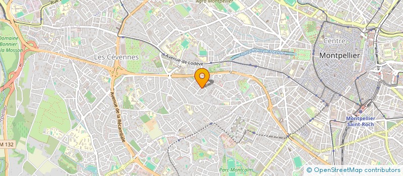 localisation de l'entreprise MADAME MENG LAN  MONTPELLIER