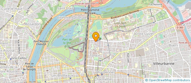 localisation de l'entreprise MADAME MERCEDES CARRIER à VILLEURBANNE