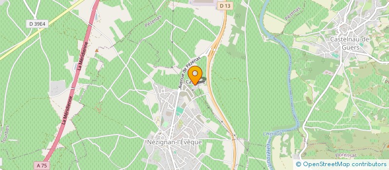 localisation de l'entreprise MADAME MERCEDES RICARD-ARDANUY  NEZIGNAN L'EVEQUE