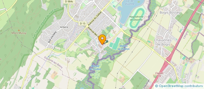 localisation de l'entreprise MADAME MERI BADASYAN  DIVONNE-LES-BAINS