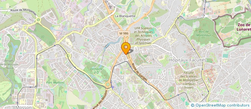 localisation de l'entreprise MADAME MERIEM FRIK à MONTPELLIER